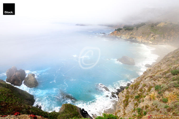 Mystical beach with fog at Big Sur, California (Pacific Ocean)