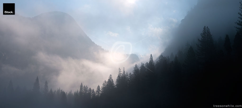 Yosemite mystic forest in morning with fog and clouds.