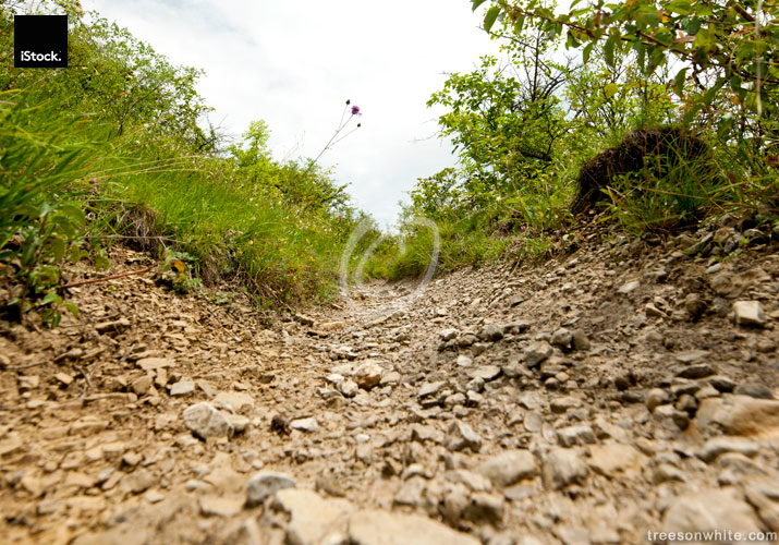 Low angle view of stony path for downhill mountain biking.