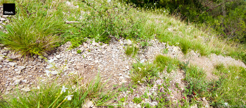 Top-view wideangle panoramic image of hiking path.