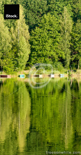 Lake and reflection with boats infront of a wood, Germany.