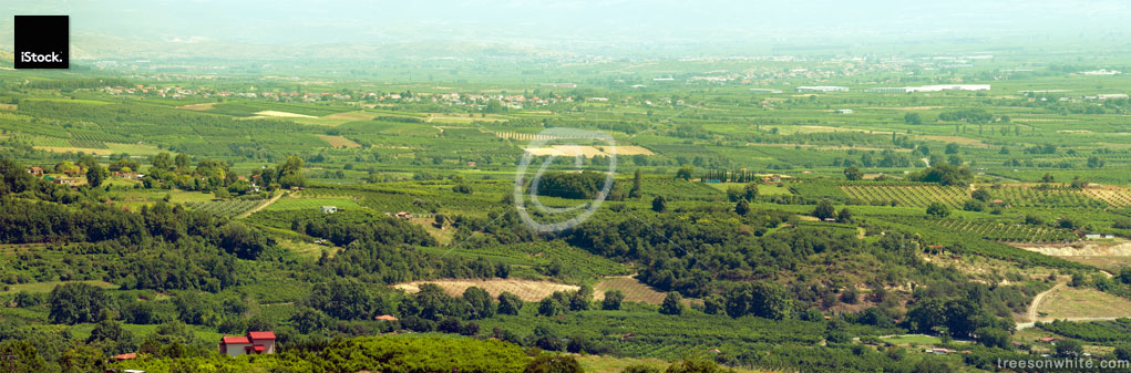 23669115_Greece_agricultural_landscape_in_summer_near_Naousa_Imathia_Makedonia_Thraki