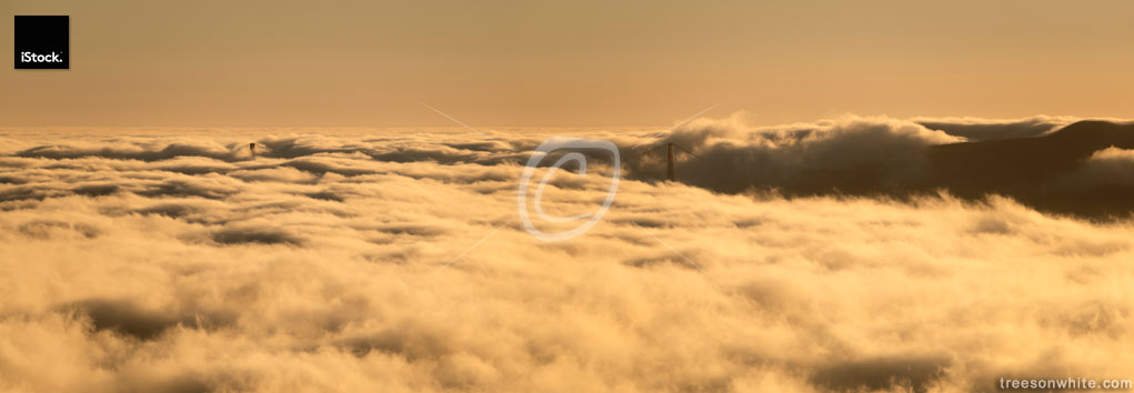 Golden Gate Bridge and coastal hills in dense fog.