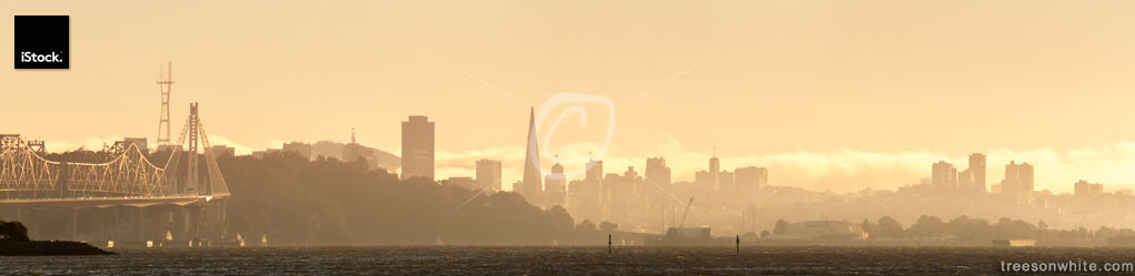 San Francisco Skyline Panoramic Image with fog at sunset in_summ