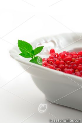 Bowl of red currants with mint leafs isolated on white.