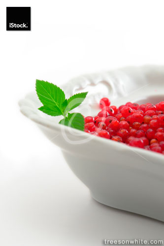 Bowl of red currant