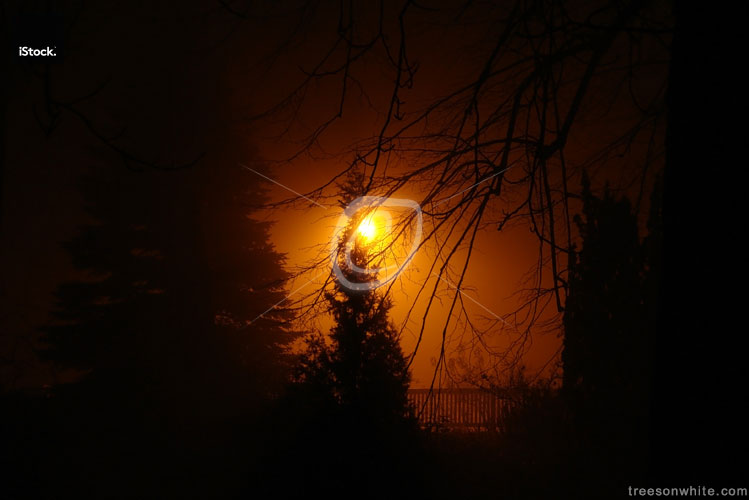 Scary Night in Winter with fog and street light.