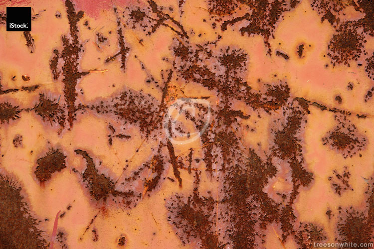 rusted and scratched metal texture