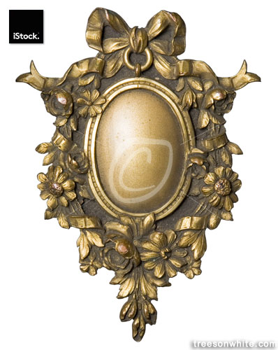 Ornamental picture frame for an oval portrait from bookcover