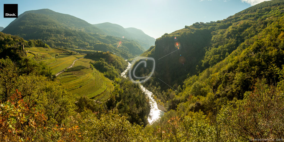 Wine terraces in Cembra Valley (Trentino) with Avisio river.