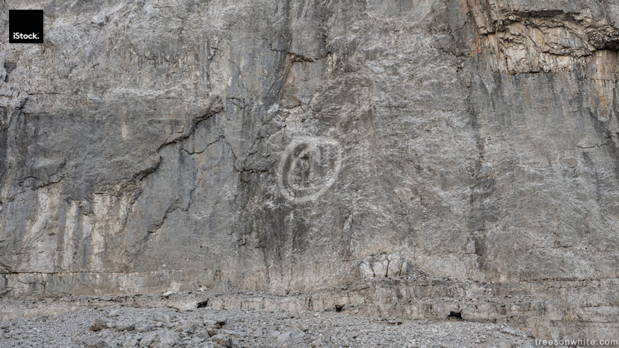 Alpine ibex (Steinbock, Capra ibex) along rock face (Brenta Dolo