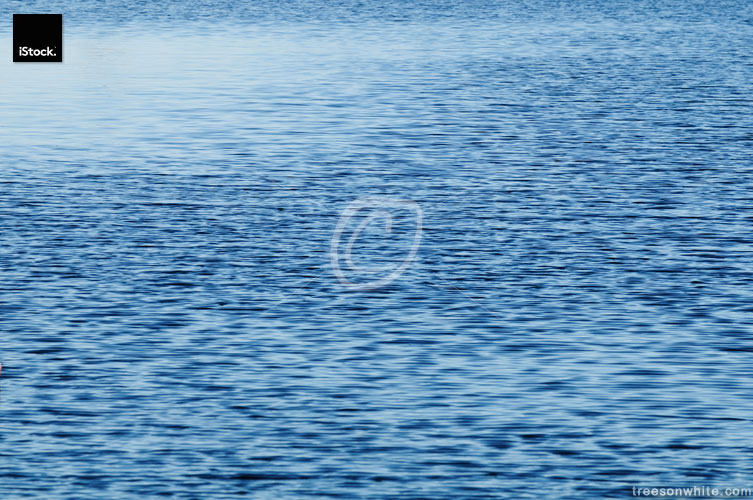 Wind on a lake with little waves.