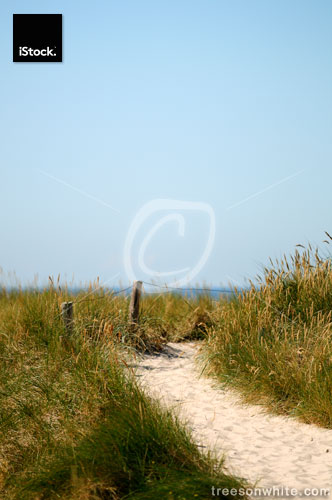 Path to the Sea through dunes.