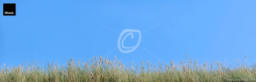 Grass panorama isolated on blue sky.